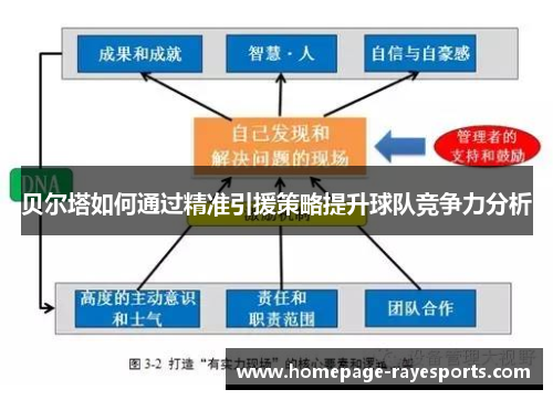 贝尔塔如何通过精准引援策略提升球队竞争力分析