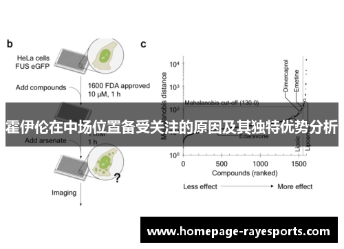 霍伊伦在中场位置备受关注的原因及其独特优势分析 霍伊伦在中场位置备受关注的原因及其独特优势分析